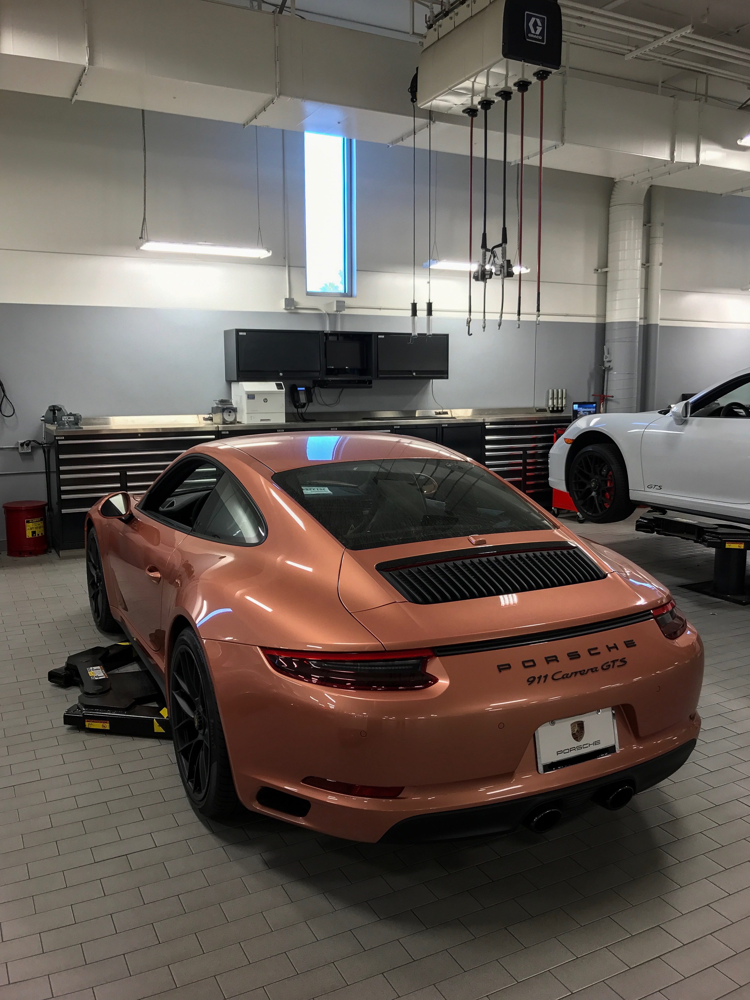 Salmon Metallic Porsche Colors